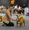  - Luxembourg Dogshow